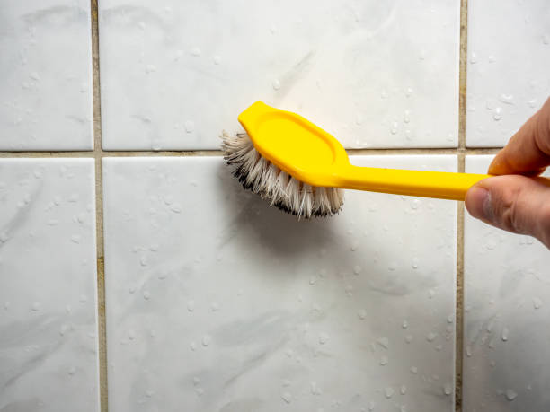 Best Preventive Mold Services in Nneconne, WI