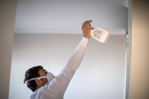 Best Mold Testing and Inspection Services in Nneconne, WI